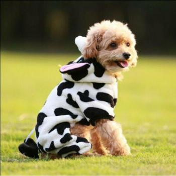 Cotton Cow Outfit for Dogs