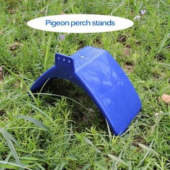 PerroquetParadis Encre Bleue – Ensemble 10