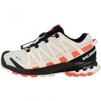 Salomon XA PRO 3D v8 GTX W LunRoc/Che Laufschuh