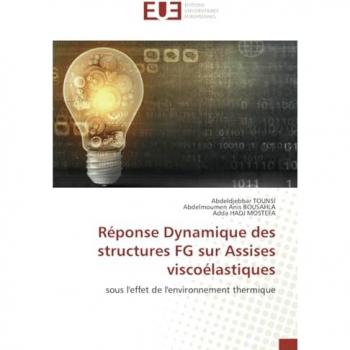 Tounsi, Abdeldjebbar: Réponse Dynamique des structures FG sur Assises viscoélastiques