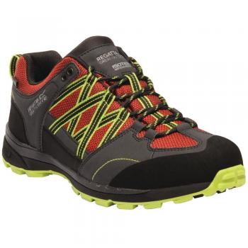 Chaussures de marche Regatta Samaris II pour homme, couleur poivre/vert lime, taille 40 EU