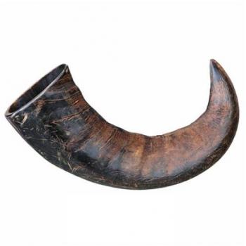 Corno di Bufalo 15 cm, Frigera Premium