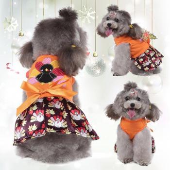 Kuschelige Winterkleidung für Hunde