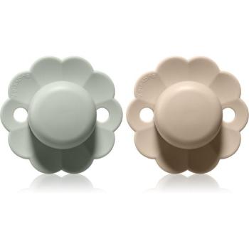 Suavinex Pro 6-18M Lavender Mist/Pale Mauve Twin Baby Nipple