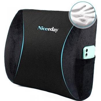 Car & Home Lumbar Guard