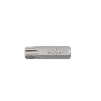 Hogert Torx Bits 25 mm