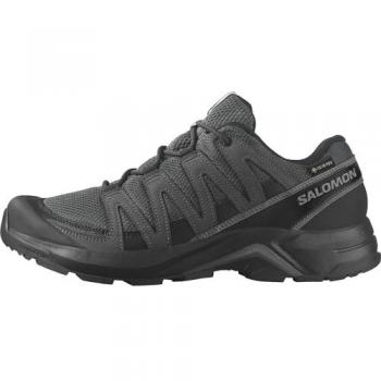 Salomon X-Adventure Recon GTX Wanderschuh Grau