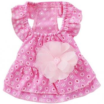 Robe Dentelle d'Été pour Chien