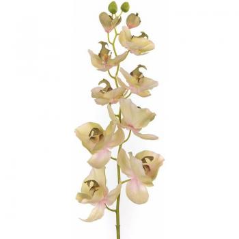 Coppia di Orchidee Artificiale Phalaenopsis, 10 Fiori, 109 cm, Verde