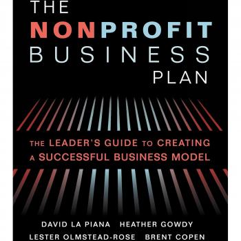 The Nonprofit Business Plan: A Leader's Guide to Creating a Successful Business 