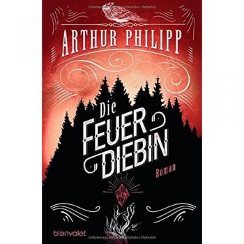 Die Feuerdiebin: Roman (Der graue Orden, Band 2)