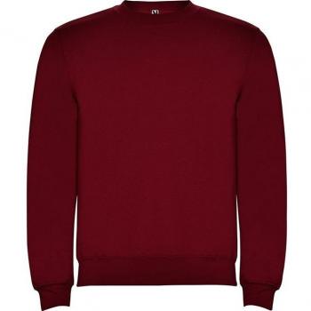 Sudadera Roly para Niño Diseño Clásico