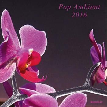Pop Ambiant 2016 – Collection Diversité