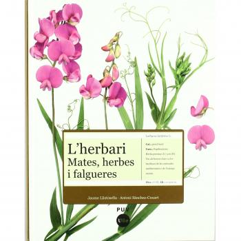 L'HERBARI MATES HERBES I FALGUERES
