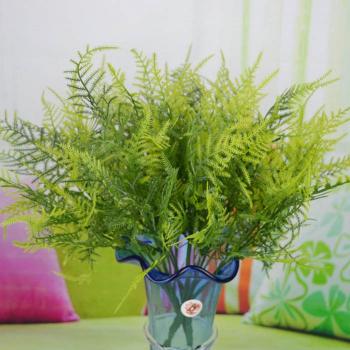 Verdant Fern & Asparagus Decor