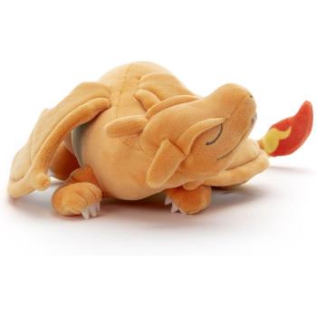 Pocket Charizard Nighttime Friend