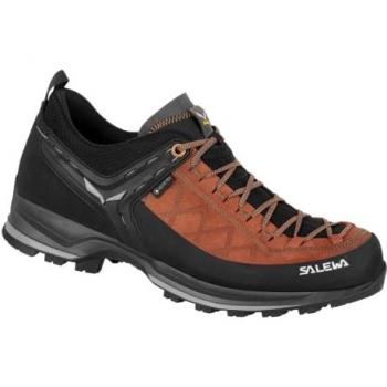 Salewa MS Mtn 2