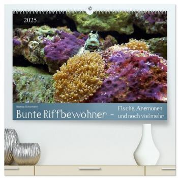 Bunte Riffbewohner