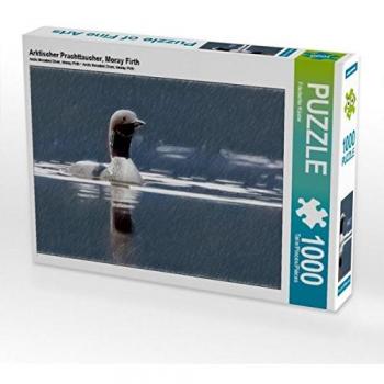 CALVENDO Puzzle Arktischer Prachttaucher, Moray Firth