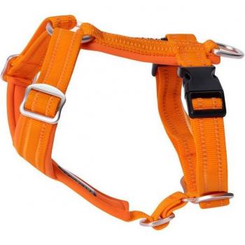 PAIKKA Easy Harness für Hunde