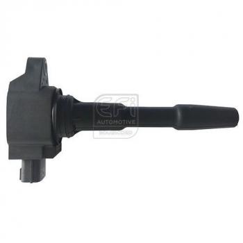 EFI Motors 155313 Bobina d'Accensione