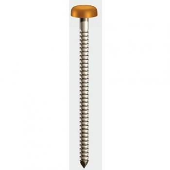 40mm Polymer Headed Nail
