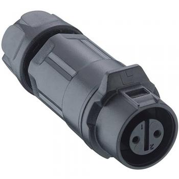 Connecteur Femelle Droit Noir 5A Lumberg 0260 02