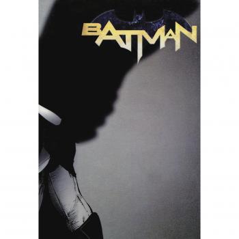 Batman. Nuova serie. Variant. Vol. 13