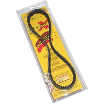 Motorriem Malossi X Special Hondeseil 125 SH Injection 4T LC Euro3 2013+ – Jf60e