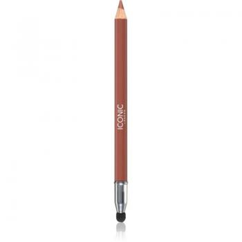 Lápiz Sculpting para Labios Fuller Pout Sister Sister 1.03g