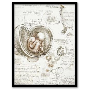 Womb Anatomy by Da Vinci – Artery8 A4 Frame, Beige Edition