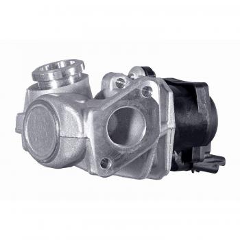 Hella Abgasventil 6NU 014 862-071