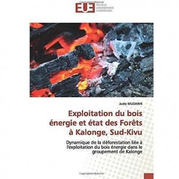 Exploitation du bois énergie et état des Forêts à Kalonge, Sud-Kivu: Dynamique de la déforestation liée à l'exploitation du bois énergie dans le groupement de Kalonge
