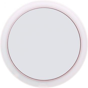 2-In-1 Dimmable Makeup Mirror with Storage Bag