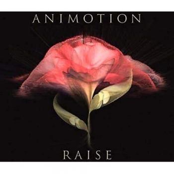 Animotion