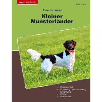Traumrasse Kleiner Münsterländer