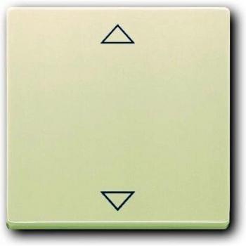 Busch‑Jaeger Modulo di Controllo Accessori 2CKA006430A0327