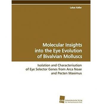 Molecular Insights into the Eye Evolution of Bivalvian Molluscs: Isolation and Characterisation of Eye Selector Genes from Arca Noae and Pecten Maximus