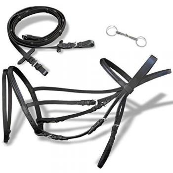 Lucky reins Leather Flash Bridle with Reins and Bit, Color: Black, Size: Cob