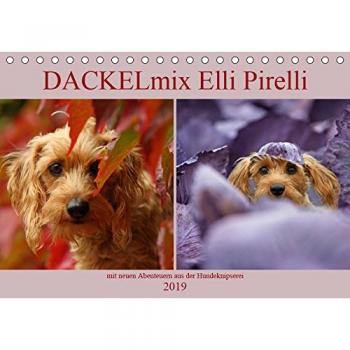 DACKELmix Elli Pirelli