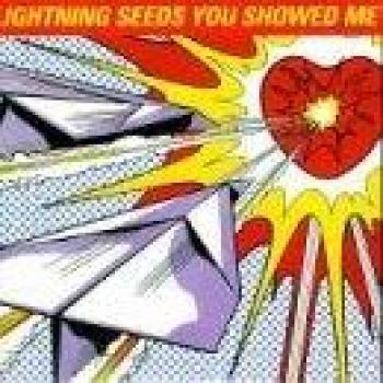 The Lightning Seeds You Showed Me 1997 Collectible CD Single