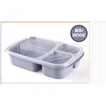 Sushi and Fruit Bento Organizer