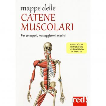 Mappe delle Catene Muscolari