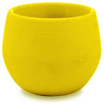 Rainbow Plant Potted Mini Flowers – Classic Style Potting Cups