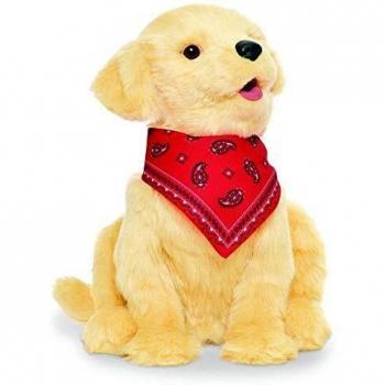 Joyful Lifelong Pet