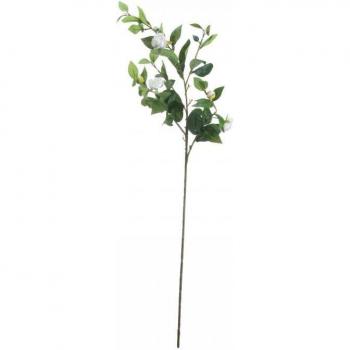 Crema Gardenia Hill One Size Botanica