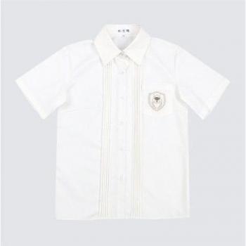 Blusa elegante de manga corta con detalle bordado coreano