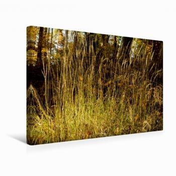 Calvendo Kunstleinen 45x30 cm – Querformat, Druck aus Mellnau, Balzer