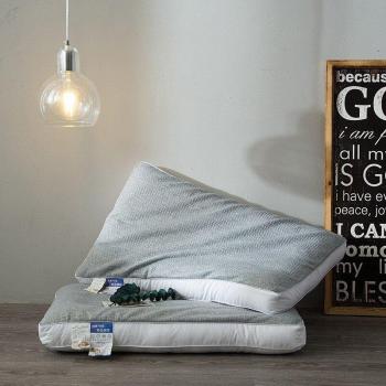 Eco-Friendly Buckwheat Bed Pillow