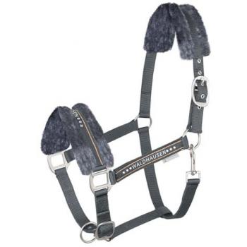 Cabestro Waldhausen Asfalto con pelo